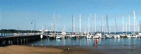 fishing online hastings|Hastings Pier Fishing Guide .
